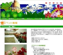 「アマリリス展」開催！