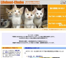 子猫との面会日および譲渡会