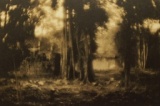 gallery bauhaus 横谷宣写真展 「森話」