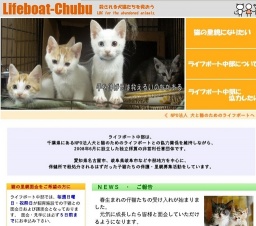 子猫との面会日および譲渡会