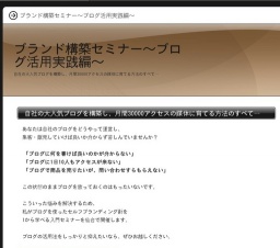 ブランド構築セミナー ～ブログ活用実践編～