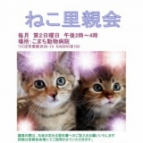 CAPINつくば里親会