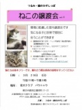 つるみ・猫のカギしっぽ譲渡会開催