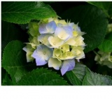 1月23日2店舗で開催される大規模合コン、パーティです！