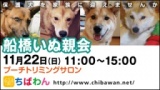 保護犬を家族に迎える譲渡会「ちばわん　船橋いぬ親会」