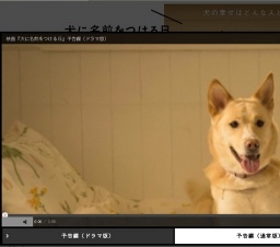 犬に名前をつける日