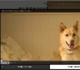 犬に名前をつける日