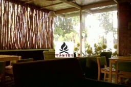 窓から緑の見えるナチュラルなお洒落カフェで優雅に【カフェランチ会】天然酵母パン