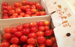 6月19日（日）讃友会！さくらんぼのジャム作り体験！