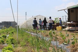 吉川でつながる！自然体験　第二弾