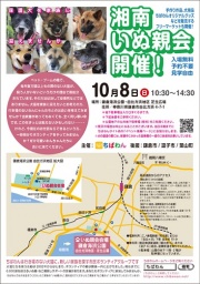  ちばわん第343回 湘南いぬ親会（39回）開催