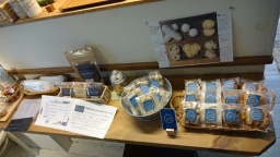 12/4(月)出没！気まぐれ雑貨店 もっく