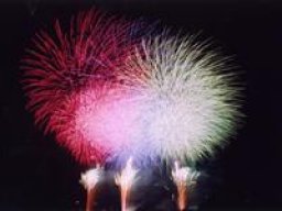 第26回朝霞市民まつり「彩夏祭」