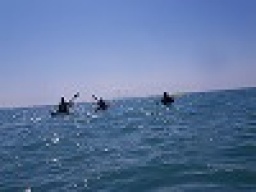 平日シーカヤックツアー /社会人サークルFEAD