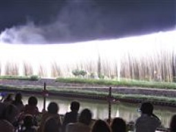 刈谷わんさか祭り2010花火大会