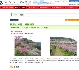 綾部山梅林 観梅期間