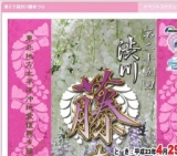 第25回渋川藤まつり