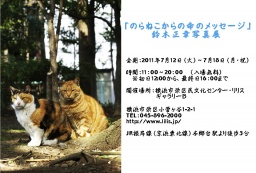 「のらねこからの命のメッセージ」鈴木正幸写真展