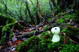 ◆3/8(金) エネルギー農のお話会 in 大阪♪