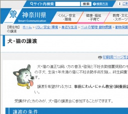 犬・猫の譲渡会