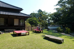 新緑とカエルの声とお抹茶と・・・