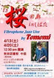 2013 桜回廊 in しばた　Vibraphone Jazz Live by Tomomi