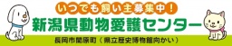 猫の飼い方教室・お悩み相談
