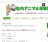 庄内ぎゅぎゅっとマーケット