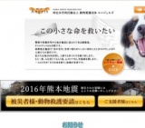 子犬・猫定期譲渡会