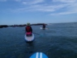 【スタンドアップパドル・ボード（SUP)体験ツアー in湘南】　 社会人サークルFEAD