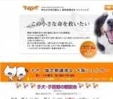 子犬・猫定期譲渡会