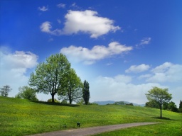 目黒川を北上！都内ウォーキング・散策企画　2017.4.29（土）開催