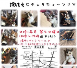 譲渡会＆チャリティーフリマ