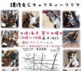 譲渡会＆チャリティーフリマ