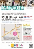 ちばわん『船橋いぬ親会】開催のご案内