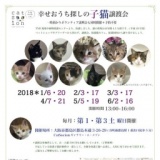 幸せおうち探しの子猫譲渡会
