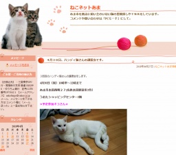 ハンディ猫さんの譲渡会