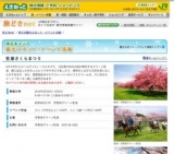 牧場さくらまつり