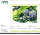 自然の力で育つ夏野菜植え付け講習会