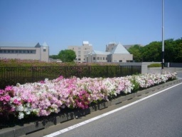 東京成徳大学八千代キャンパス　2010　第3回OPEN　CAMPUS（6月15日（火）開催）詳細（動画付き）