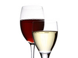 【都内在住者限定】ナンと楽しむ♪ソムリエが教えるワイン合コン