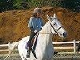 平日アウトドア 本格乗馬体験  アウトドア社会人サークルFEAD