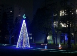 【雄飛祭 一日の思い出をあぶり出すイルミネーション情報!】獨協大学で一足早いイルミネーシ...