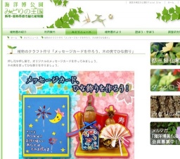 植物のクラフト作り「メッセージカードを作ろう、木の実でひな飾り」