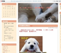 ねこわんこ　猫犬譲渡会