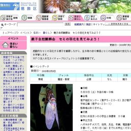 親子自然観察会セミの羽化を見てみよう！