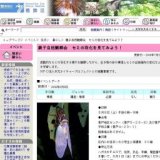 親子自然観察会セミの羽化を見てみよう！