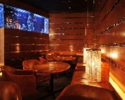 ◆東京スタイリッシュパーティー主催企業:200名コラボ◆銀座圧巻のアクアレストランで異業種交流P...