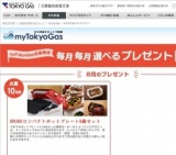 毎月毎月選べるプレゼント