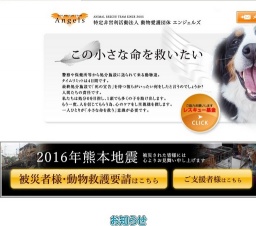 子犬・猫定期譲渡会